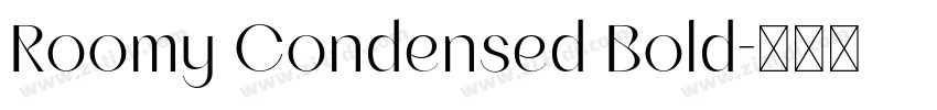 Roomy Condensed Bold字体转换 Roomy Condensed Bold字体转换